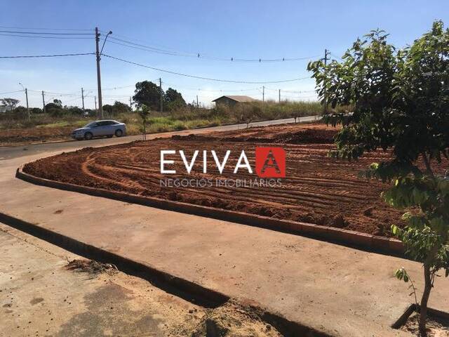 Terreno para Venda em São José do Rio Preto - 4
